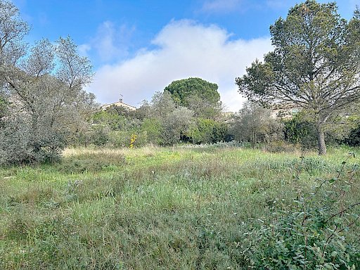 Achat Terrain Villeneuve Les Avignon 1496 m² - Photo 3