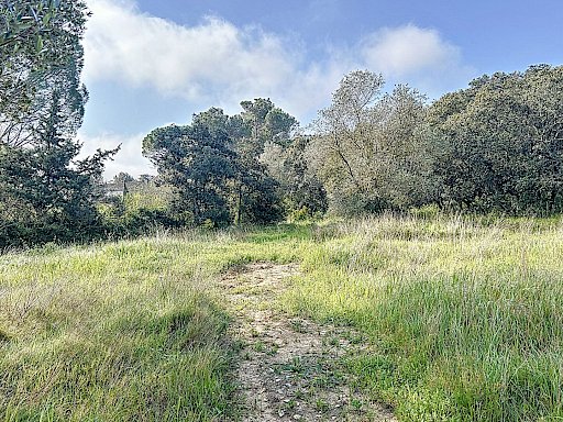 Achat Terrain Villeneuve Les Avignon 1496 m² - Photo 1