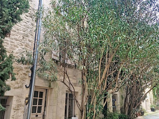 Vente Maison Villeneuve Les Avignon 6 pièces 173 m² - Photo 3