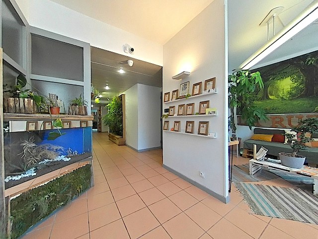 Local commercial Montfavet 10 pièce(s) 213 m2