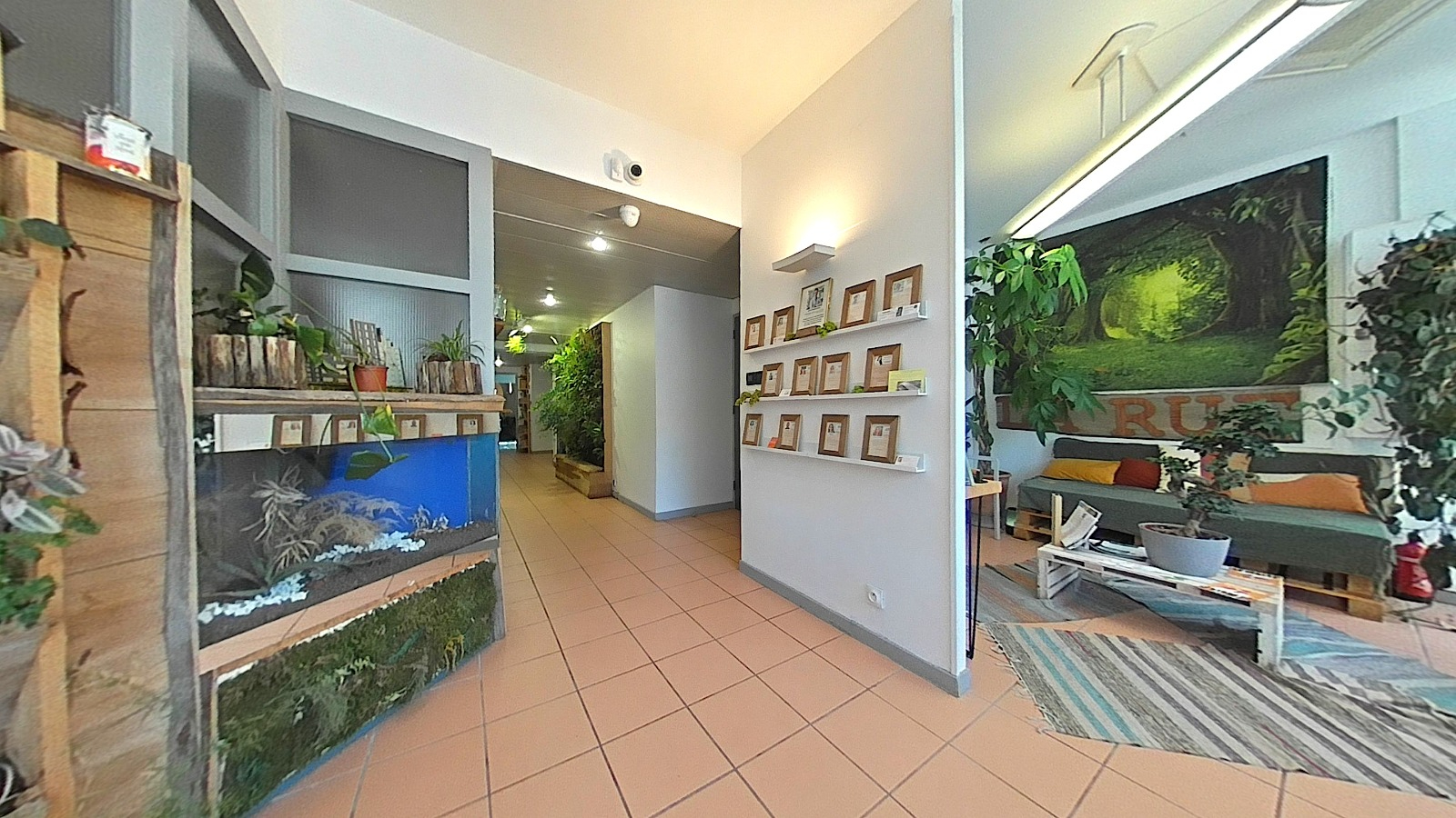 Achat Commerce / Local Montfavet 10 pièces 213 m² - Photo principale