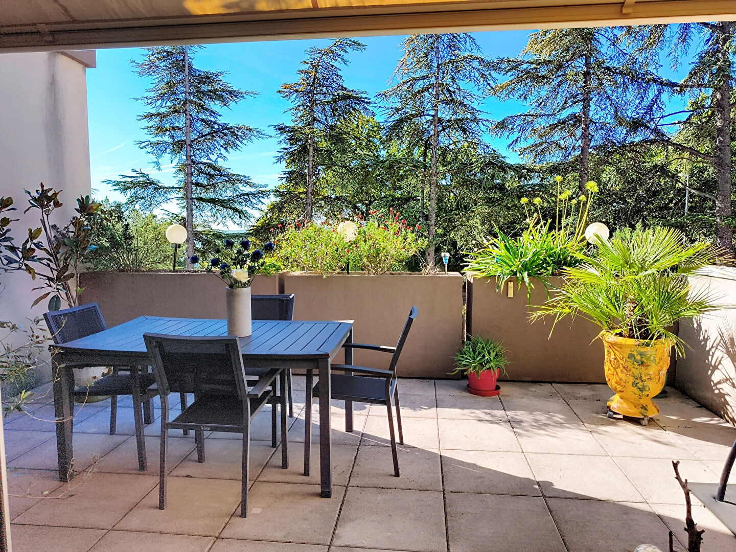 Achat Appartement Les Angles 3 pièces 69.79 m² - Photo principale