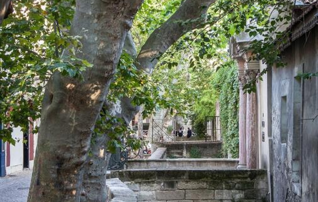 PHOTO AVIGNON